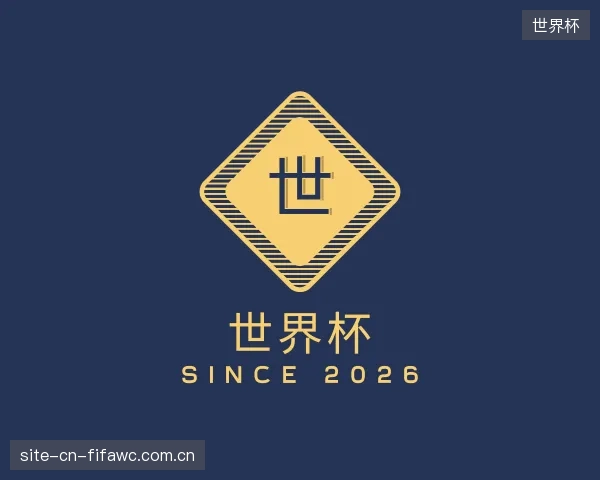 发现世界杯团队